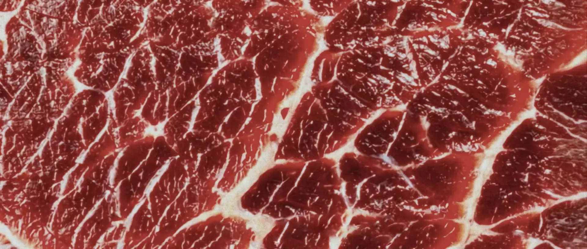 The Flesh Market Cover